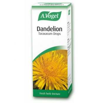 picture of A. Vogel Dandelion (Taraxacum) Oral Drops