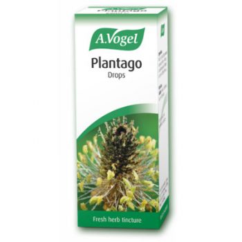 picture of A. Vogel Plantago Oral Drops