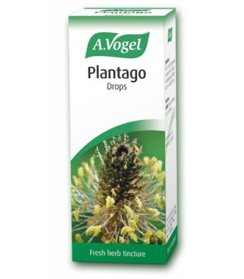 picture of A. Vogel Plantago Oral Drops