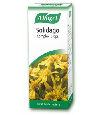 picture of A. Vogel Solidago Complex Oral Drops