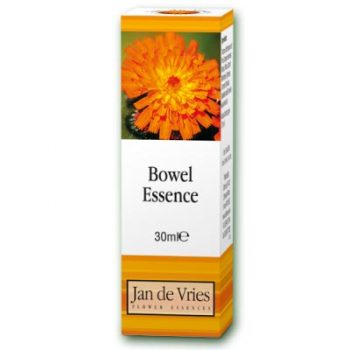 picture of Jan de Vries Bowel Essence Flower Remedy