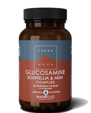 picture of terranova glucosamine boswellia & MSM complex