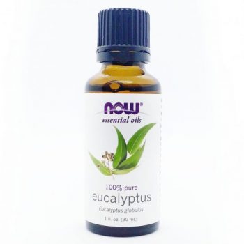 picture of now eucalyptus oil