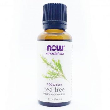 picture of now tea tree oil